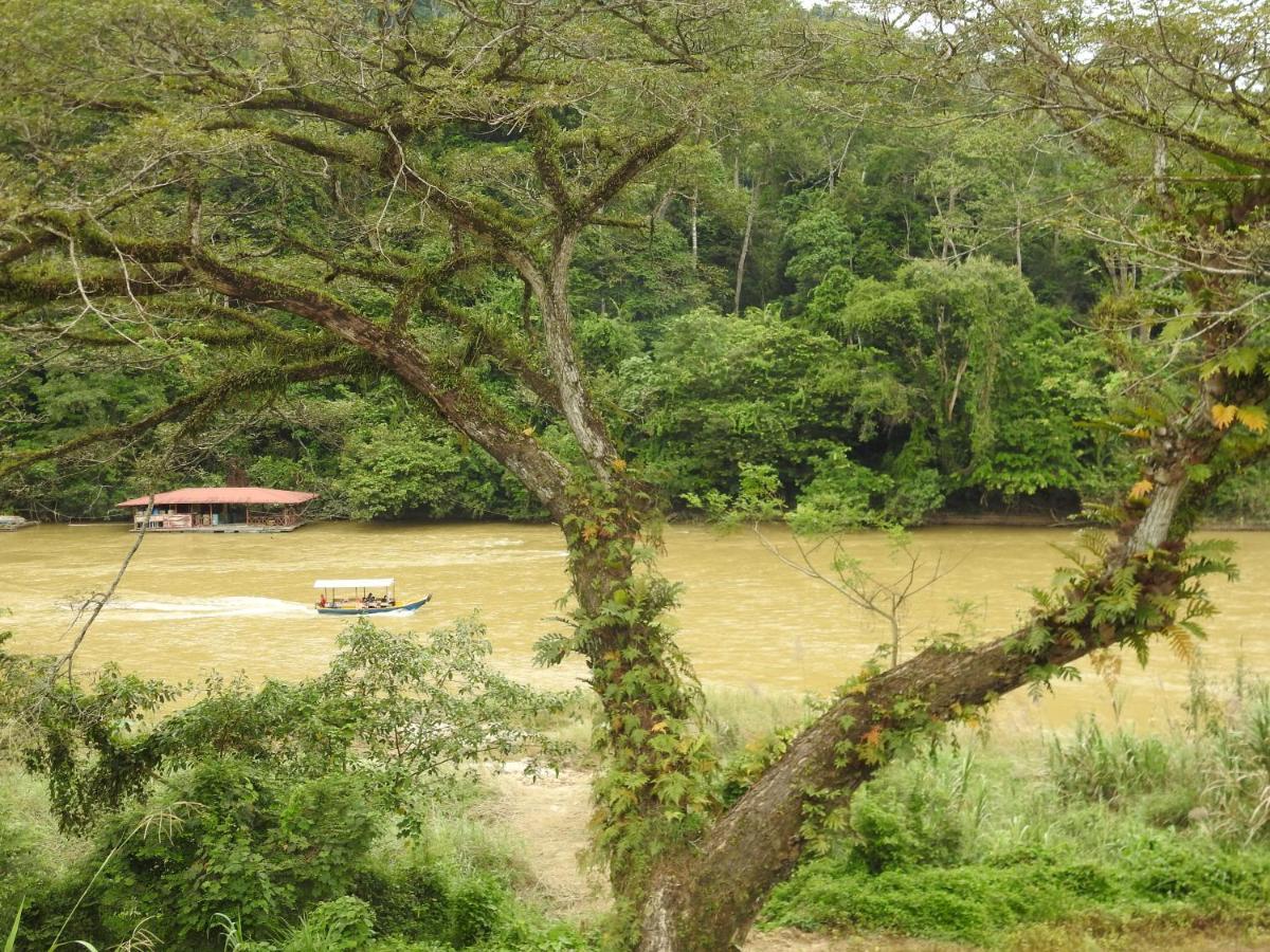 TEBiNG Guest House Taman Negara Malaysia Kuala Tahan Bagian luar foto