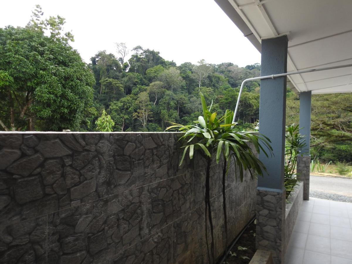 TEBiNG Guest House Taman Negara Malaysia Kuala Tahan Bagian luar foto