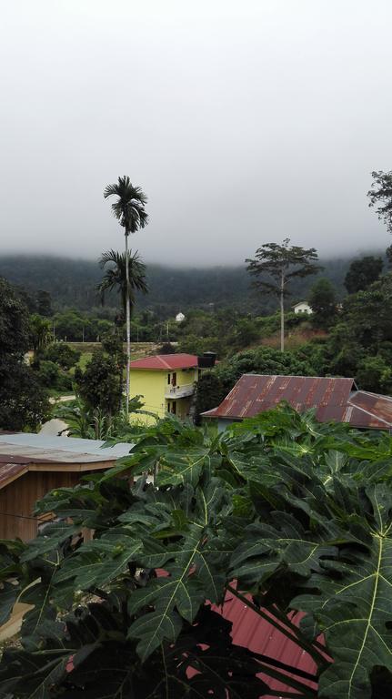 TEBiNG Guest House Taman Negara Malaysia Kuala Tahan Bagian luar foto